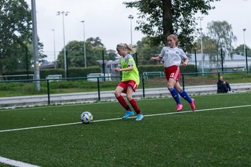 Bild 250 - C-Juniorinnen HSV - Walddoerfer : Ergebnis: 9:1